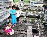 Foto: Women of the Tribe and Search of Freshwater Dolphins in Borneo